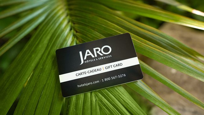 Carte-cadeau JARO tenue par une main, offrant le cadeau parfait de séjours mémorables, repas savoureux et moments de détente inoubliables