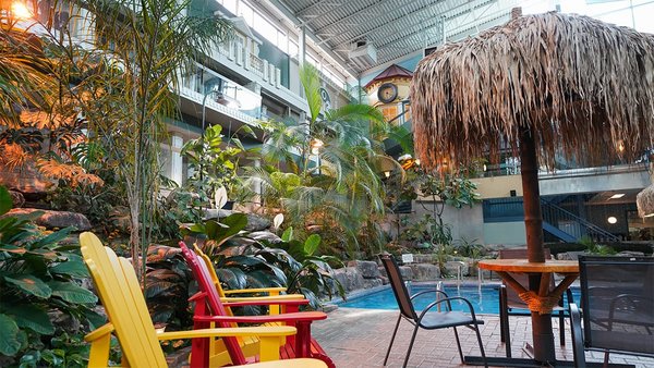 Une vue vibrante surplombant un jardin tropical, représentant la promo "Jardin & Balcon".